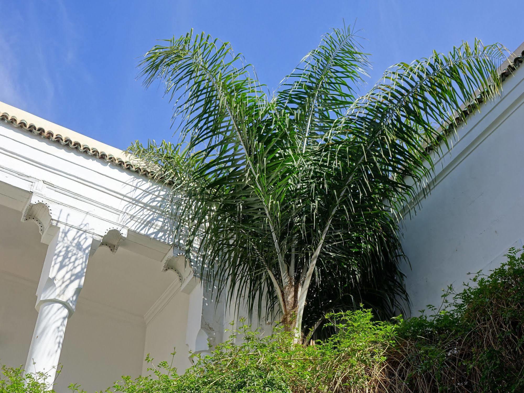 Riad Al Assala Marraquexe Exterior foto